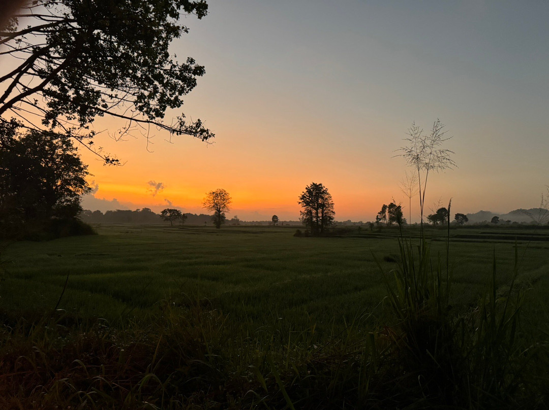 Sri Lanka Tour Experts-Nanu Oya必去景点