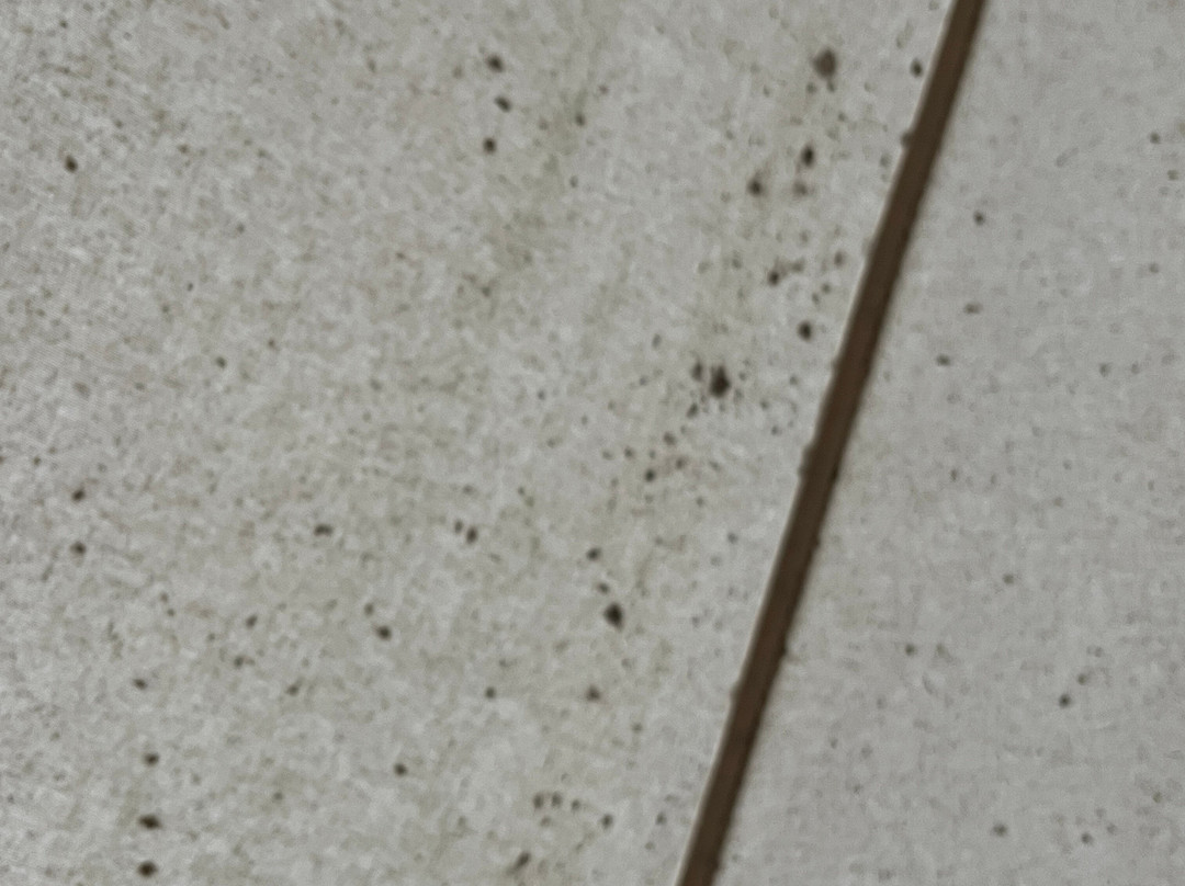 Mayfield Garden-Oberon必去景点