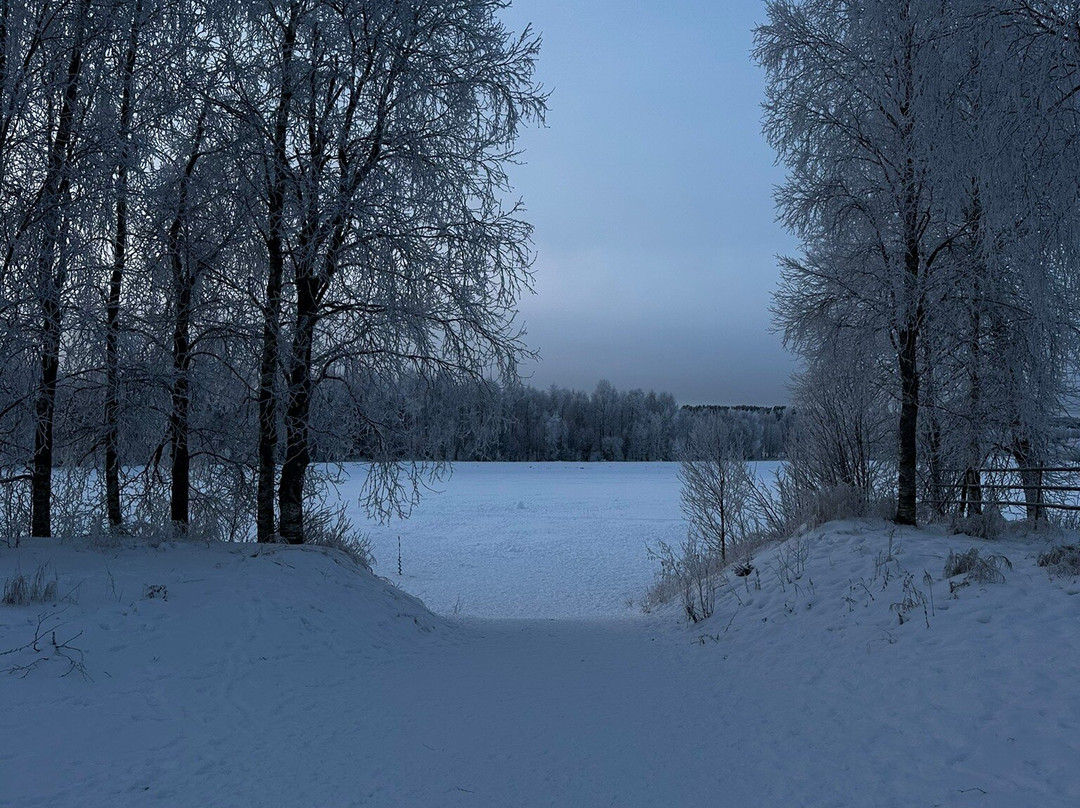 北极圈标线雪地公园-罗瓦涅米必去景点