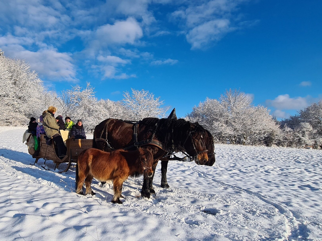 Rosszeit-Deilingen必去景点