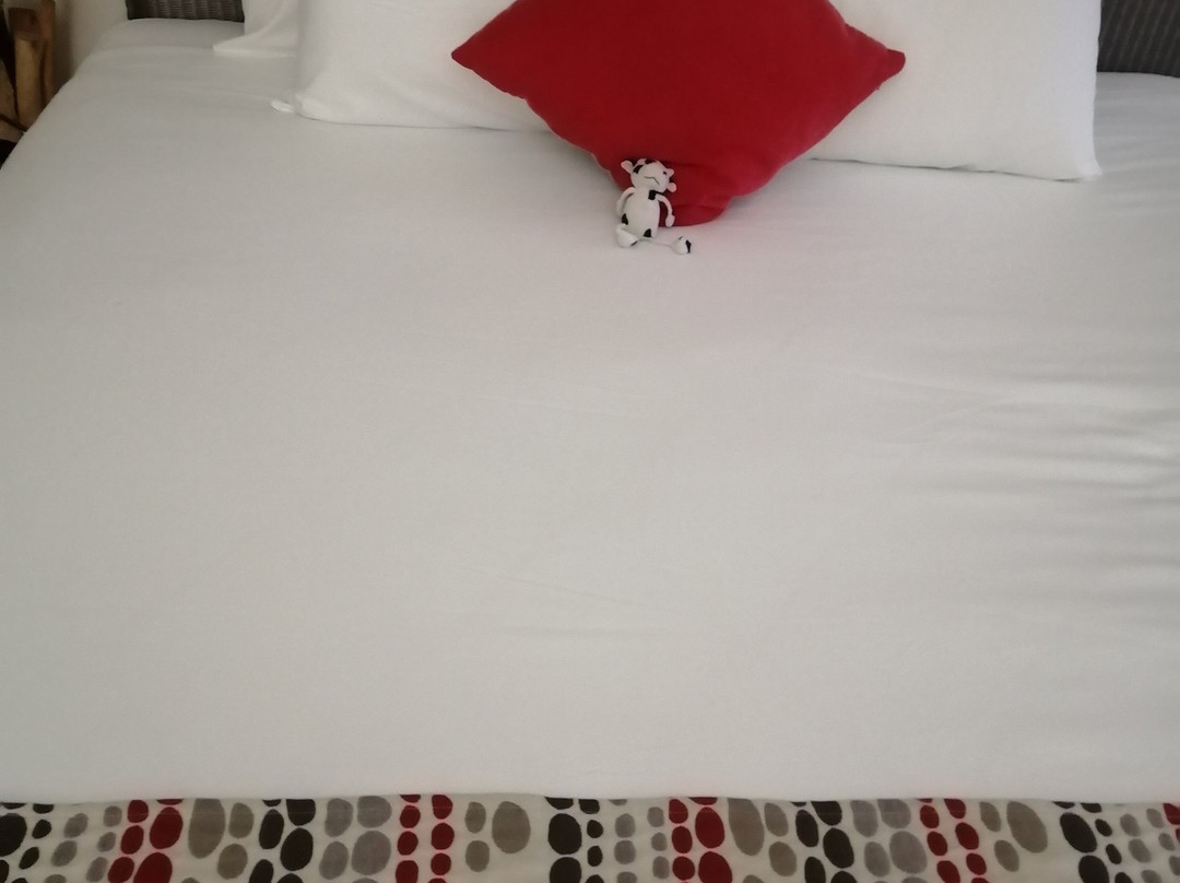 Hotel Fleur d'Epee主图