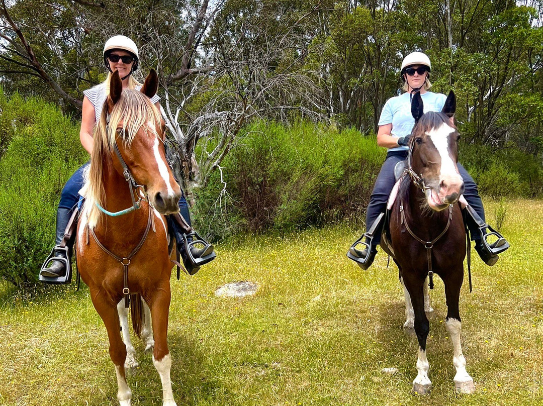 Thredbo Valley Horse Riding-Crackenback必去景点