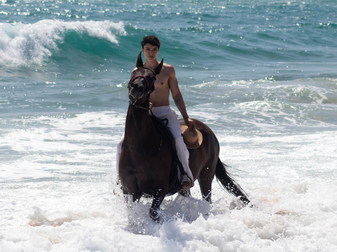 Haras Maracaipe-嘎林海斯港必去景点