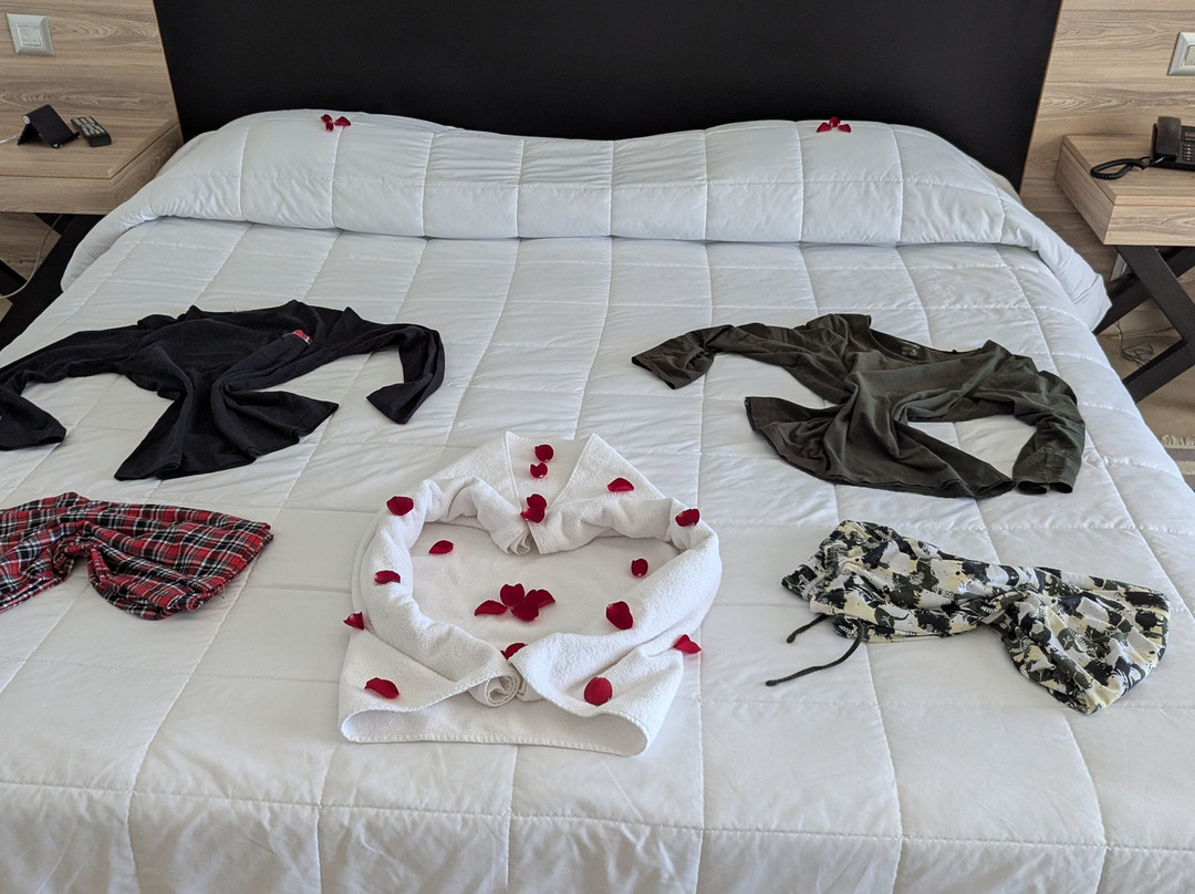 伊波罗之星索拉利亚酒店主图