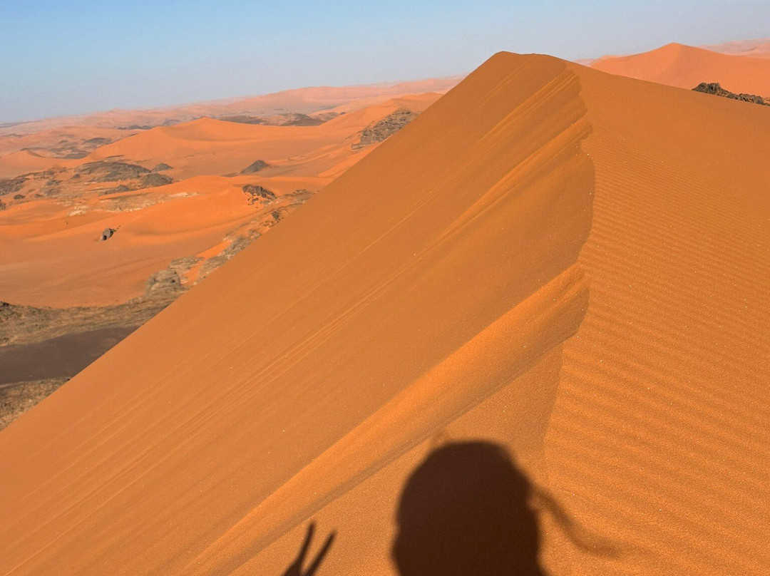 Tinariwen Tours景点图片