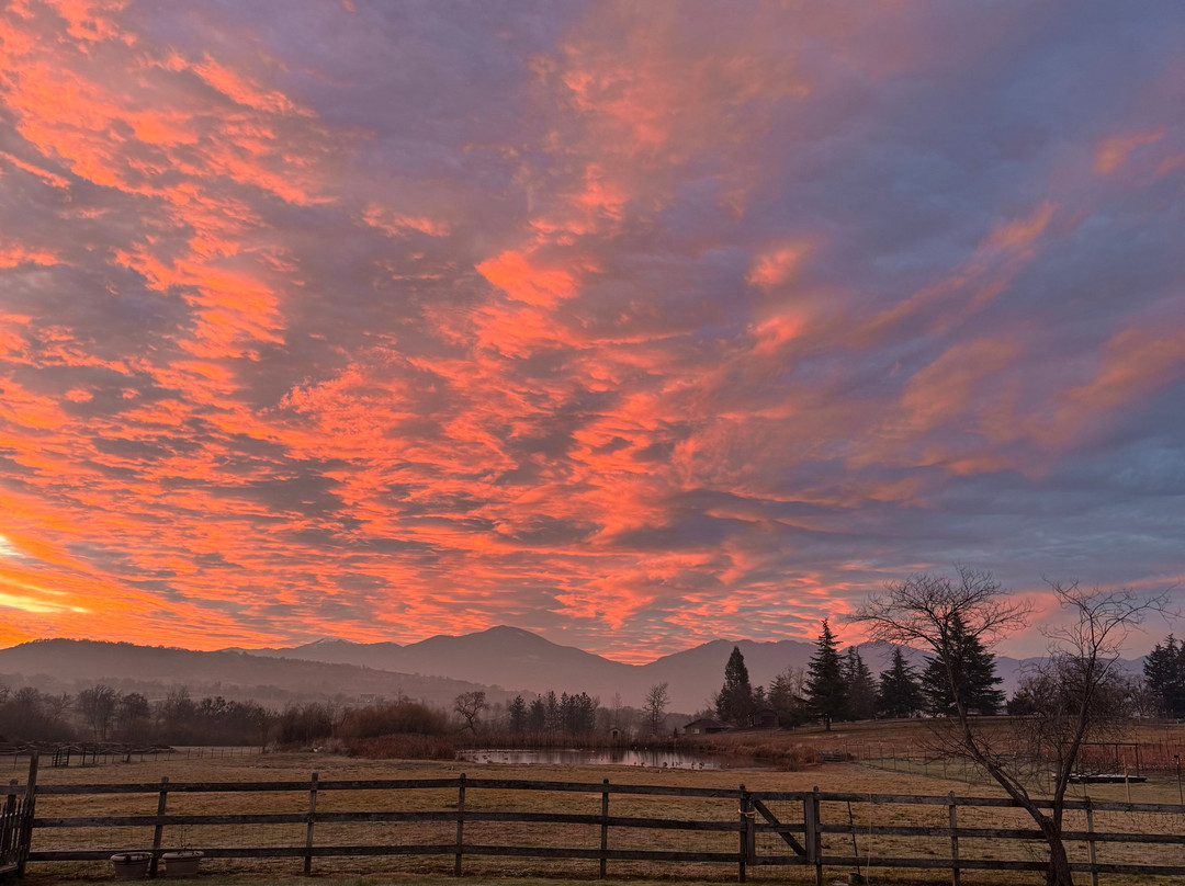 Eliana Wines-阿什兰必去景点