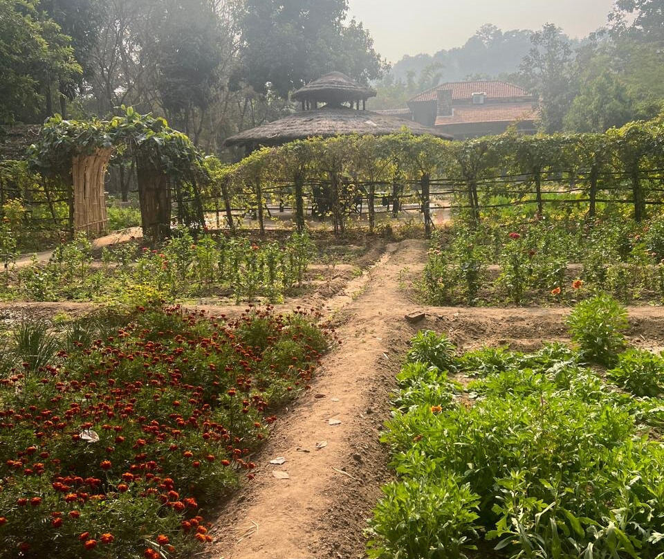 Pugdundee Safaris - Kings Lodge主图