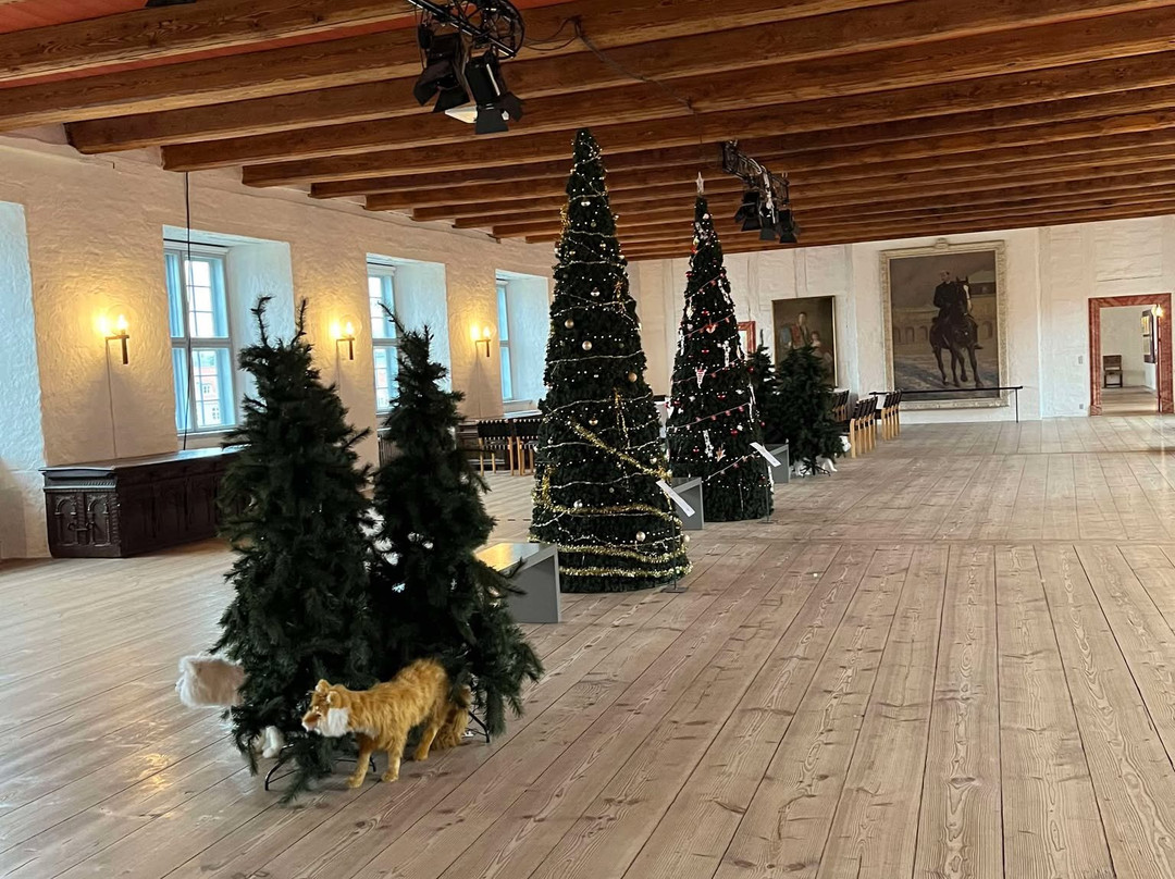 Museum Sønderjylland - Sønderborg Castle-森讷堡必去景点