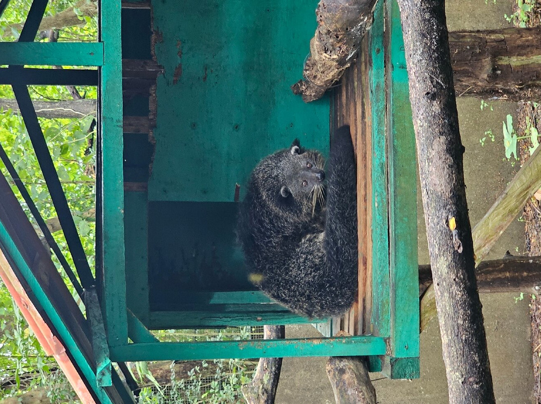 Palawan Wildlife Rescue and Conservation Center景点图片