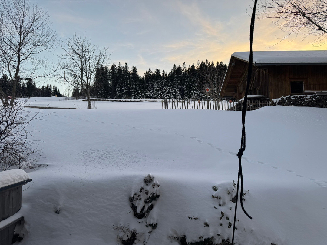 Landhotel Sportalm主图