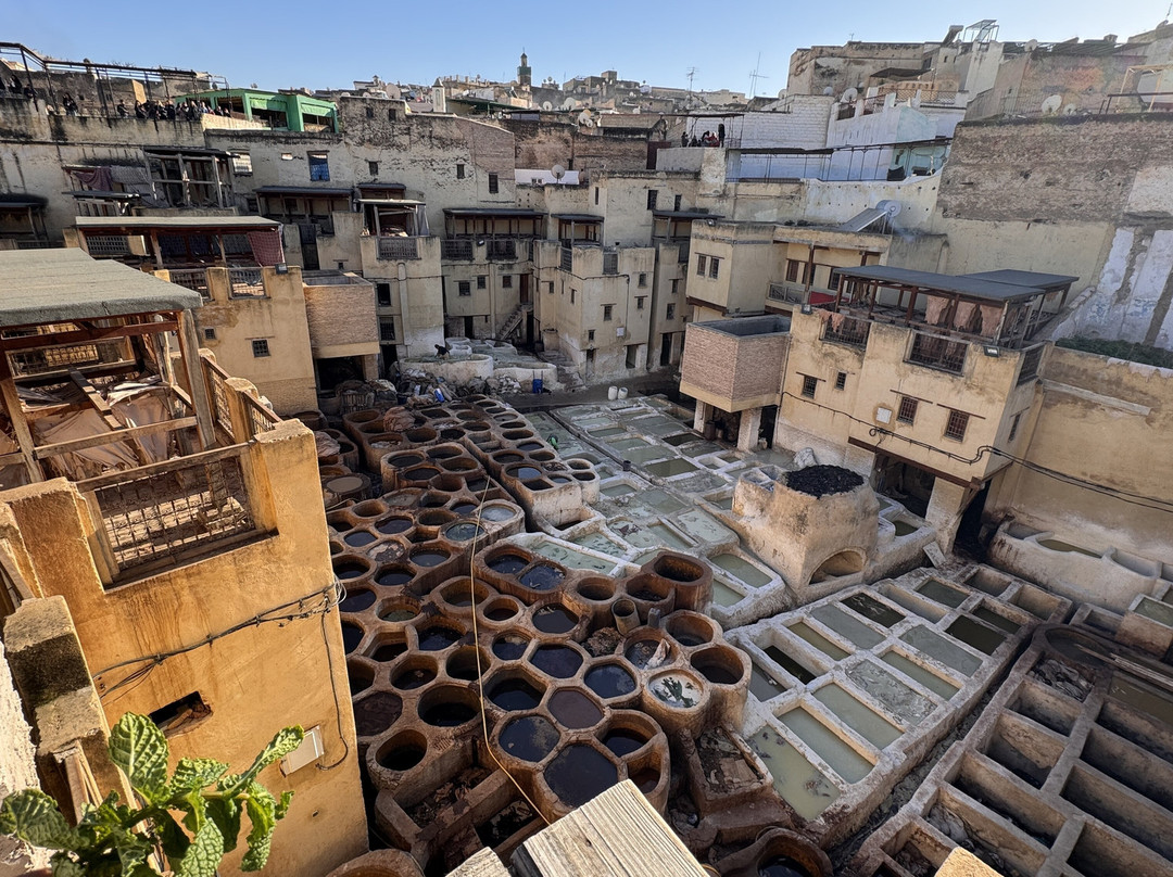 Berber Walk-马拉喀什必去景点