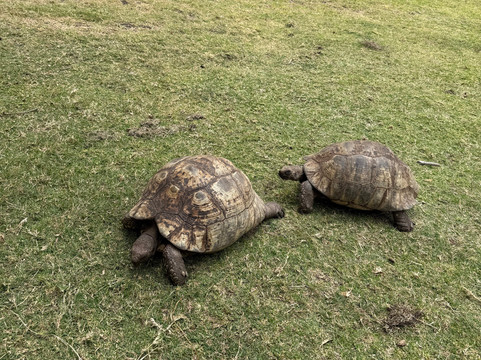 A Taste of Cape Town-斯泰伦博斯必去景点