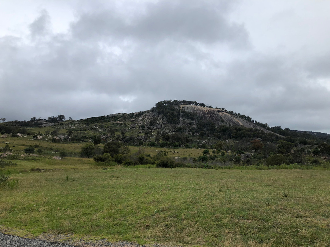 Mount Mackenzie Nature Reserve景点图片