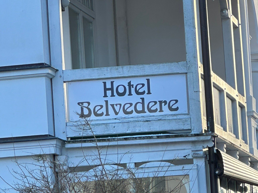 Hotel Villa Belvedere主图