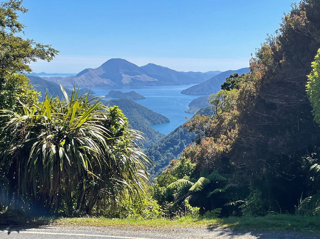 Pelorus Sound Water Taxi & Cruises-哈夫洛克必去景点