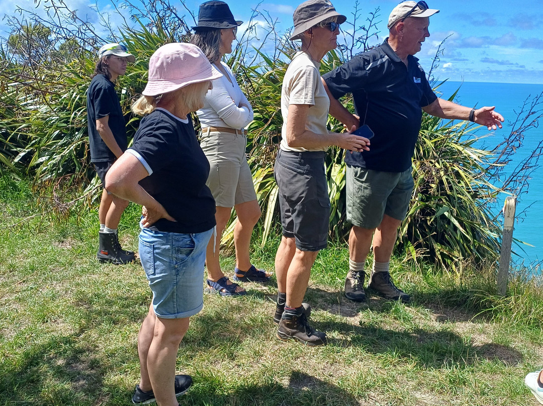 Cape Kidnappers景点图片