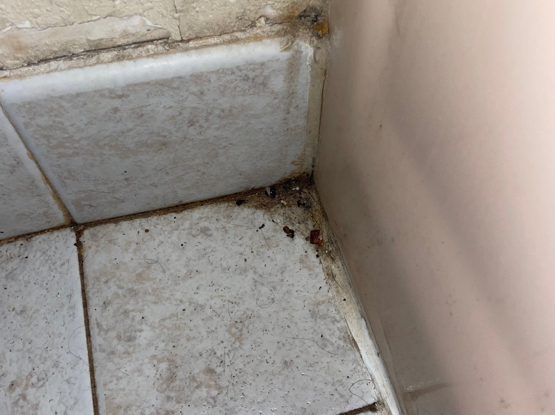 Quality Inn & Suites  Quakertown主图