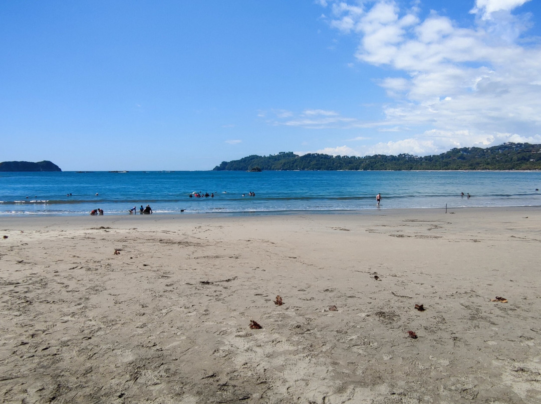 Parque Nacional Manuel Antonio景点图片