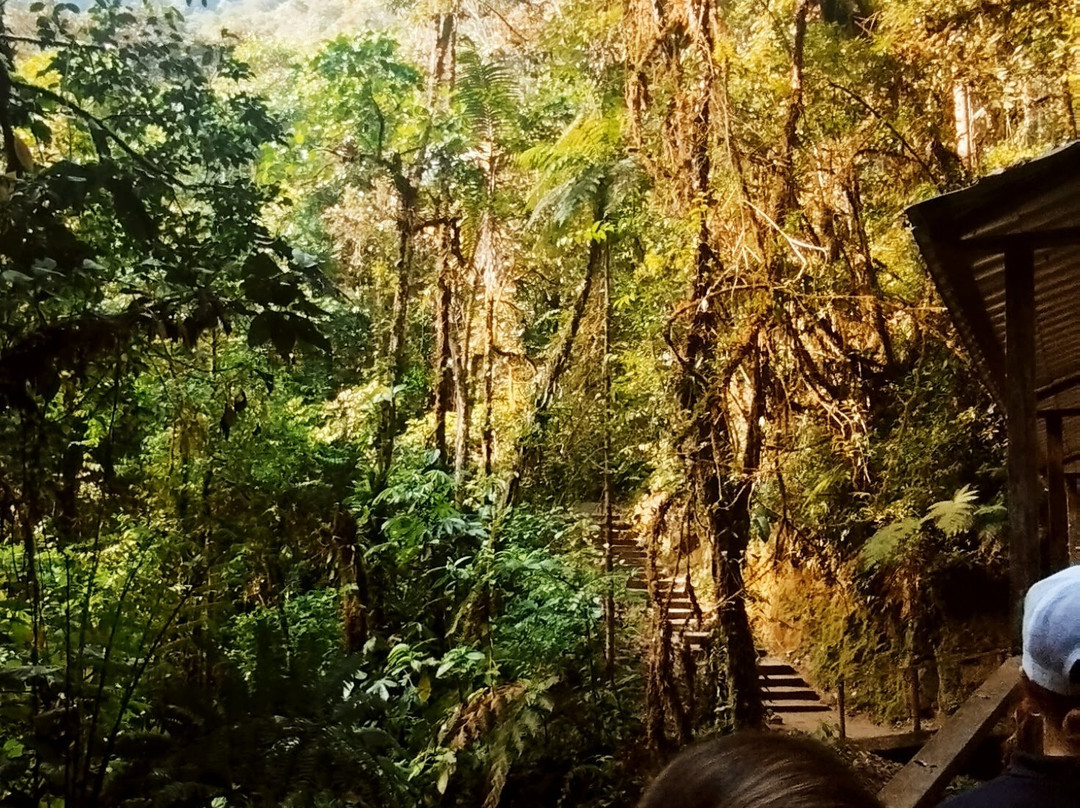 Podocarpus National Park-Zamora必去景点