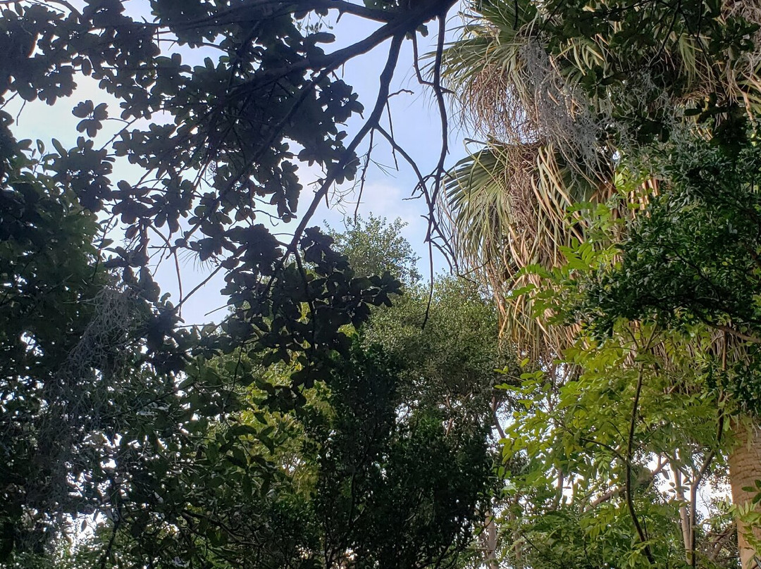 Miami Beach Botanical Garden景点图片