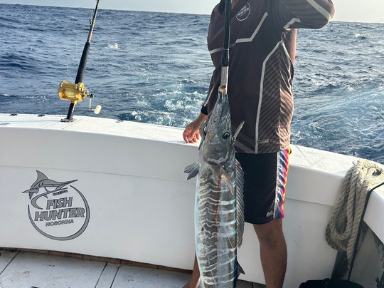 Fish Hunter-费尔南多-迪诺罗尼亚群岛必去景点