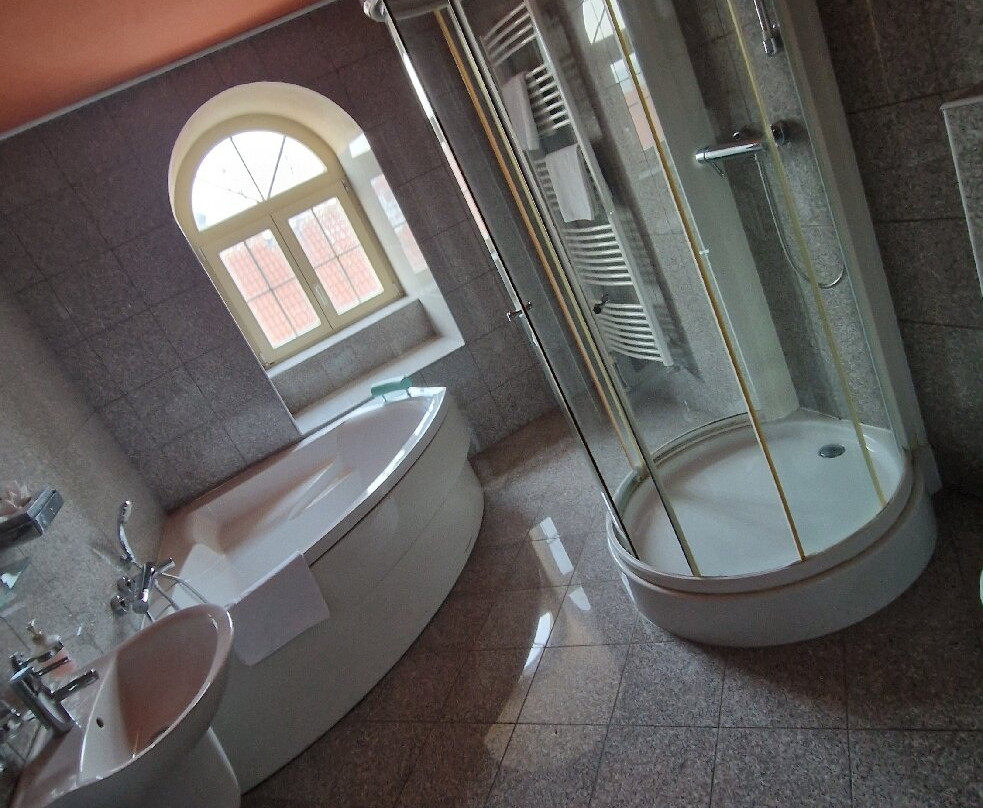 Hotel Zlaty Lev Zatec主图