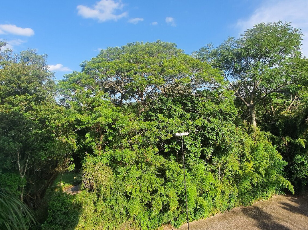 Hotel Aguas Claras主图