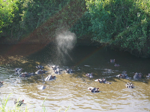 塞伦盖蒂国家公园旅游景点-Serengeti National Park