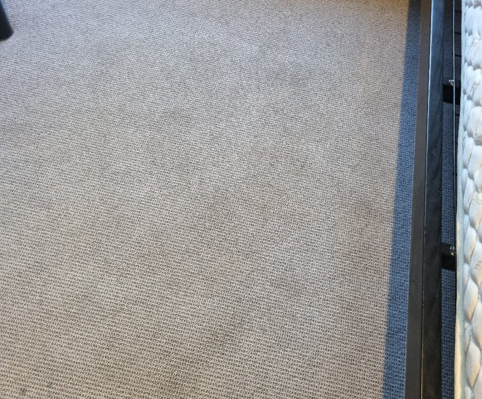 悉尼湖边假日酒店(纳拉宾公园)主图