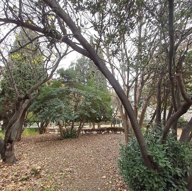 Parc Bosc De Figueres景点图片