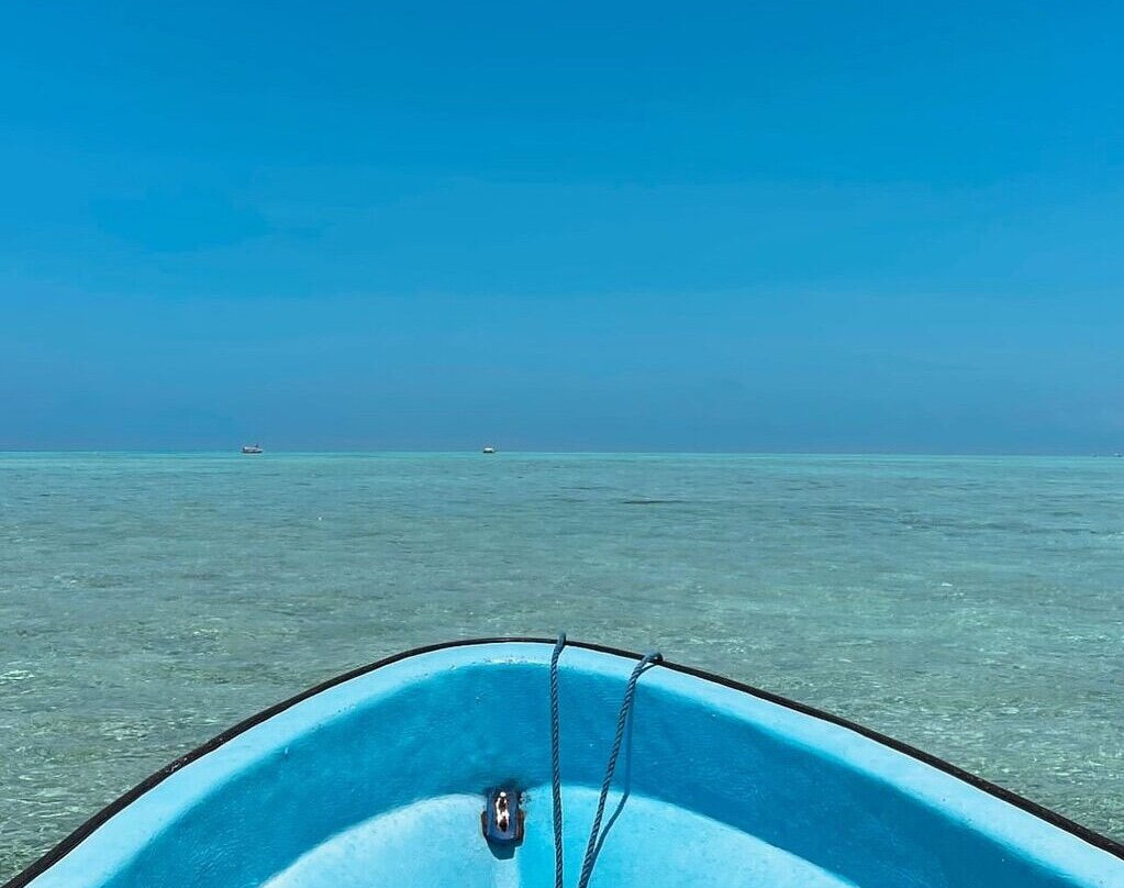 AG Tours and Safaris-桑给巴尔岛必去景点