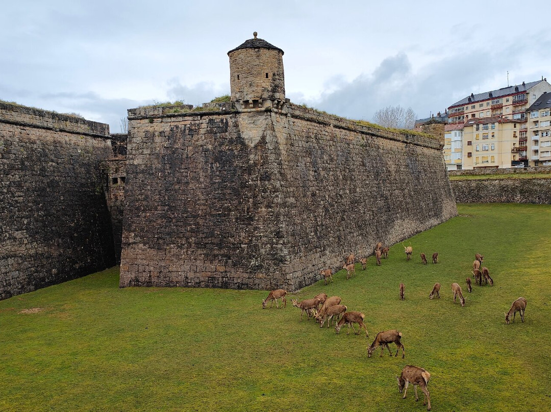 Pura Vida Pirineos主图