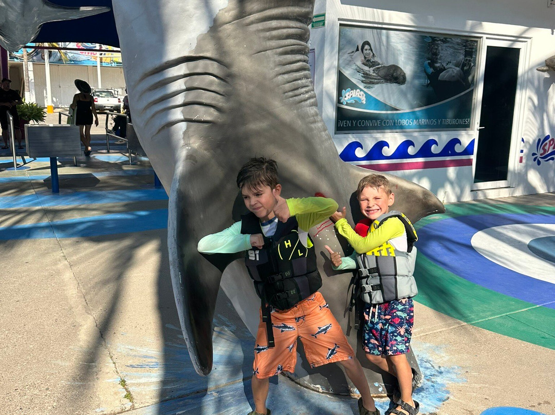 Splash Parque Acuático Vallarta-新瓦雅塔必去景点