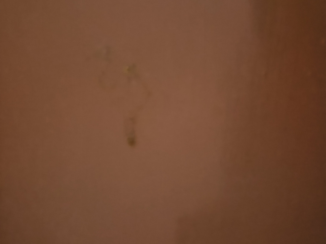 Courtyard Motor Inn主图