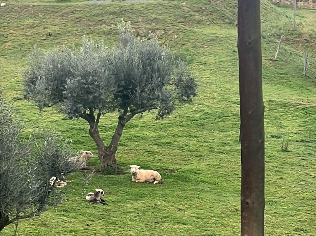 Solar da Portela主图