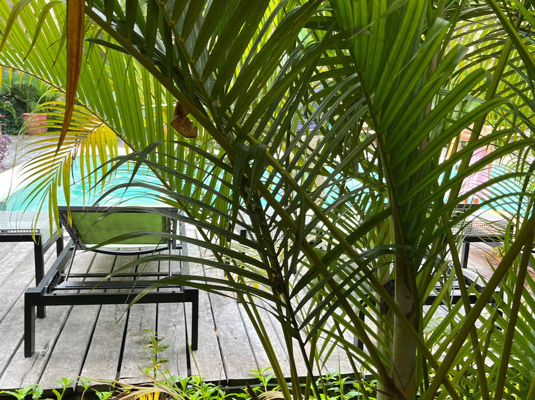 Lol-Ha Hotel Boutique主图