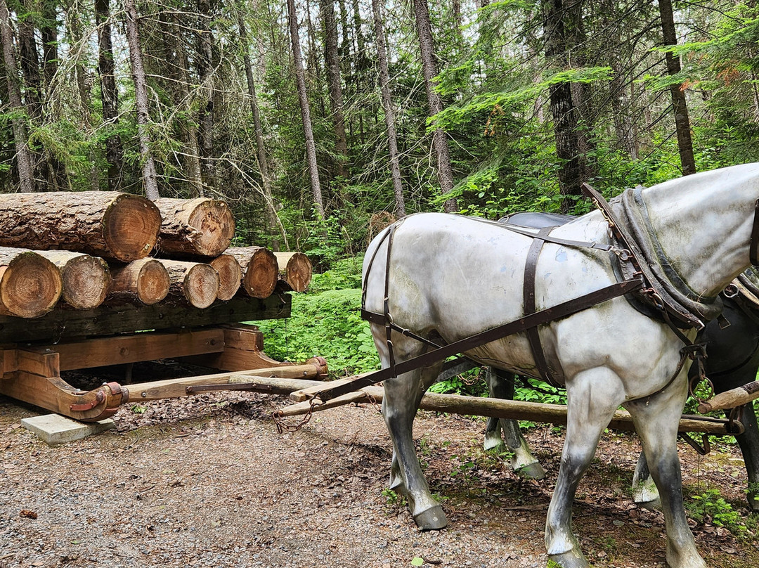 Algonquin Logging Museum景点图片