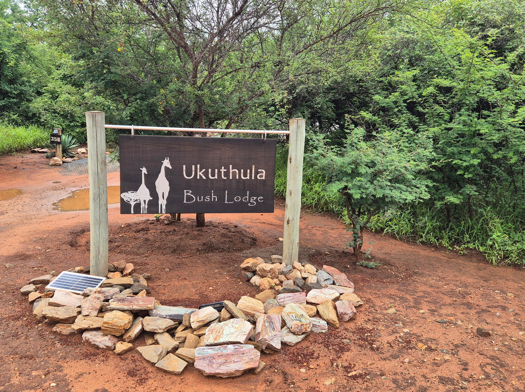 Ukuthula Bush Lodge主图