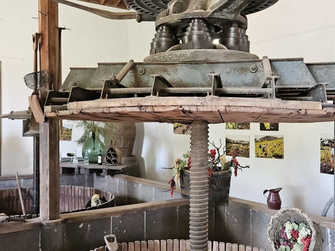 Bodega San Juan - Museo del Vino景点图片