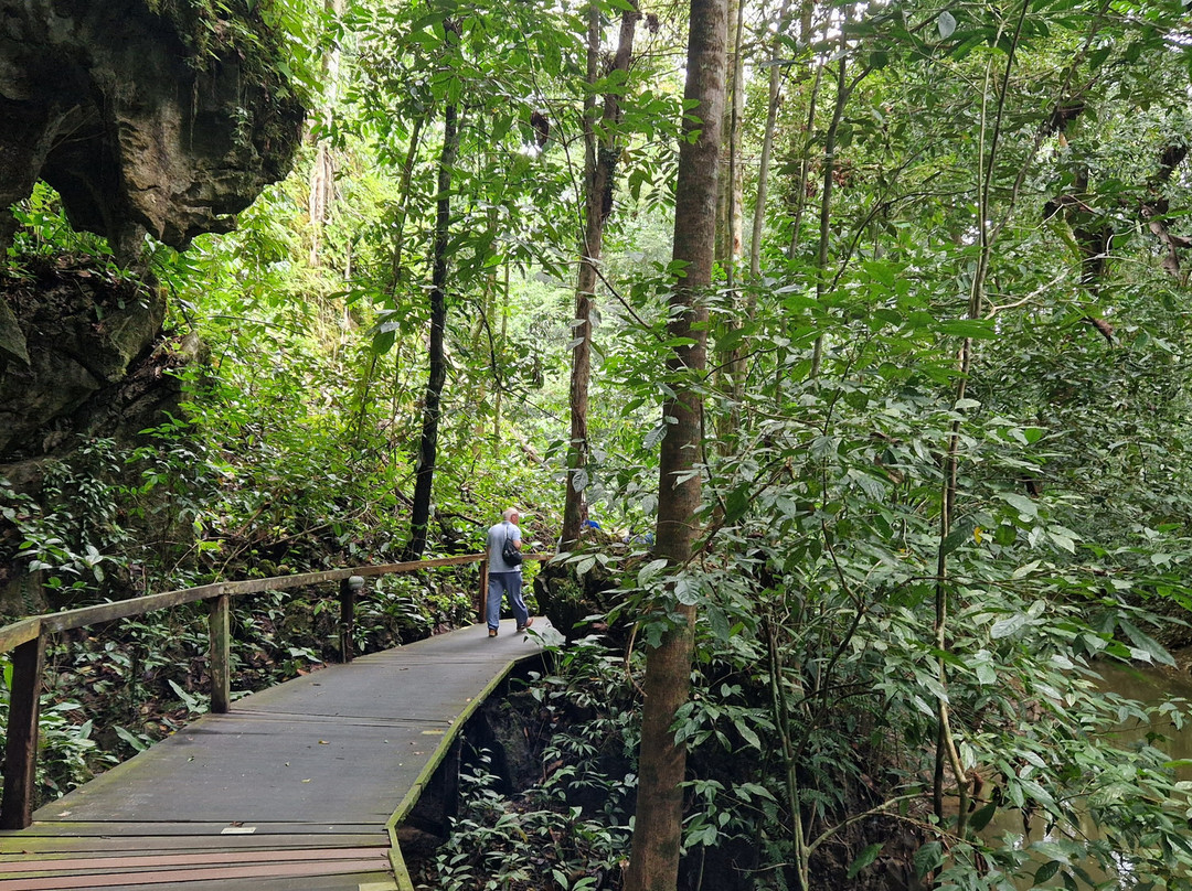 Deer Cave-姆鲁国家公园必去景点