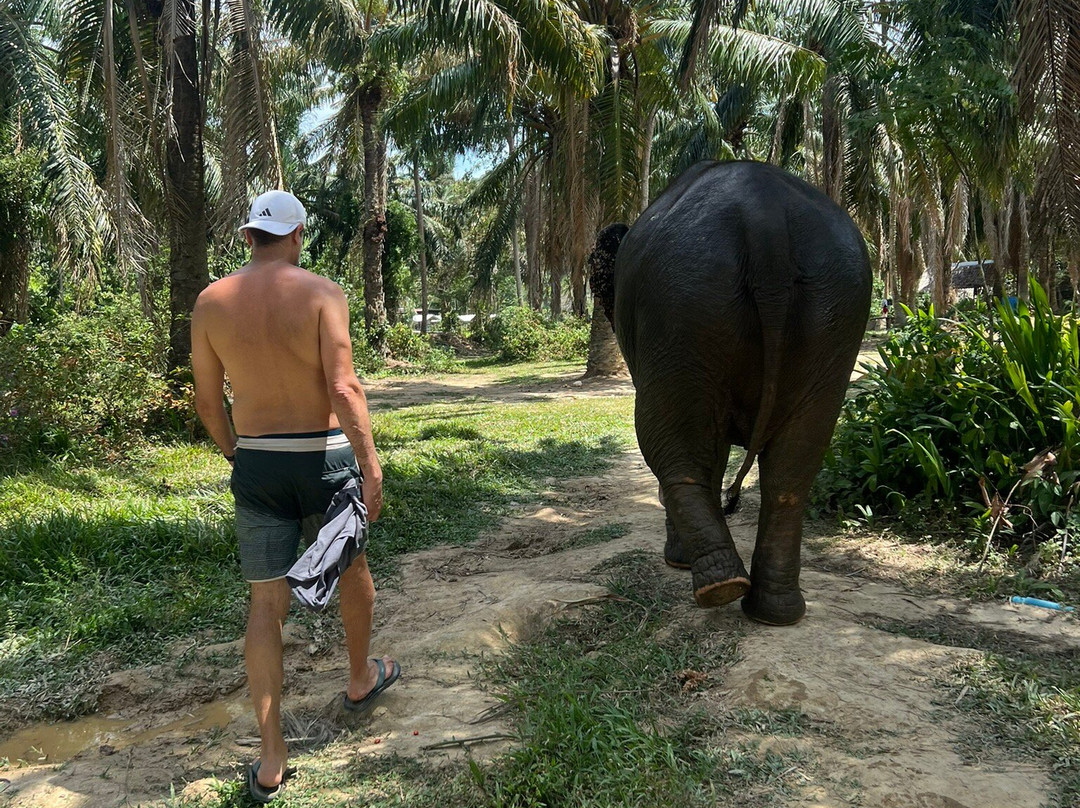Lanta Elephant Sanctuary-兰塔岛必去景点