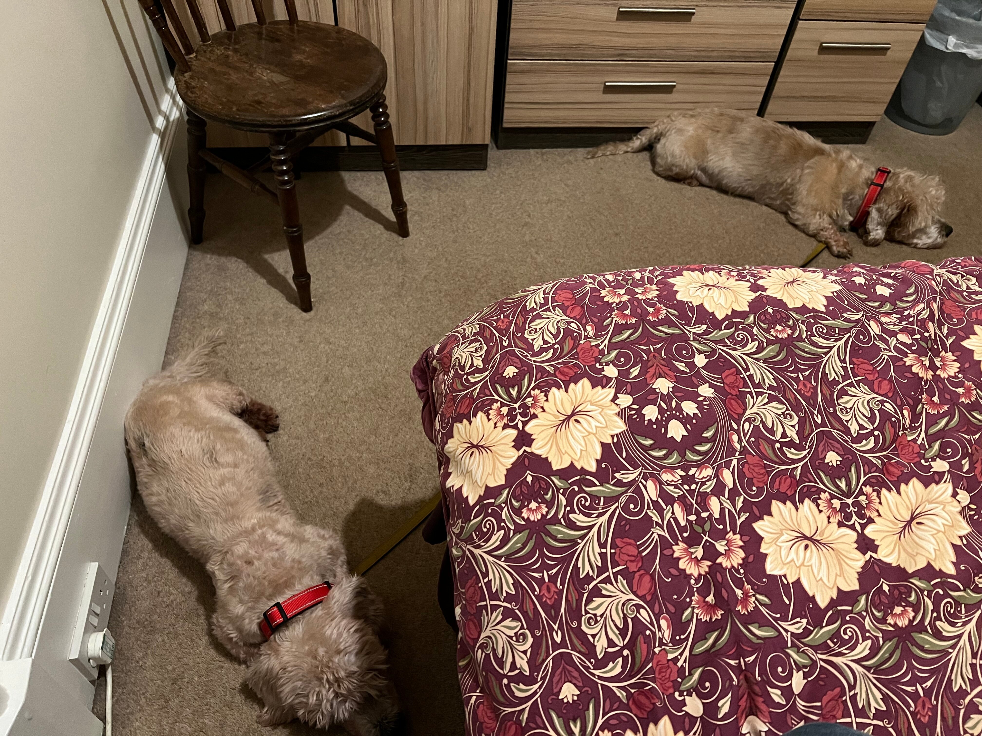 Scotia Bed and Breakfast-客卧