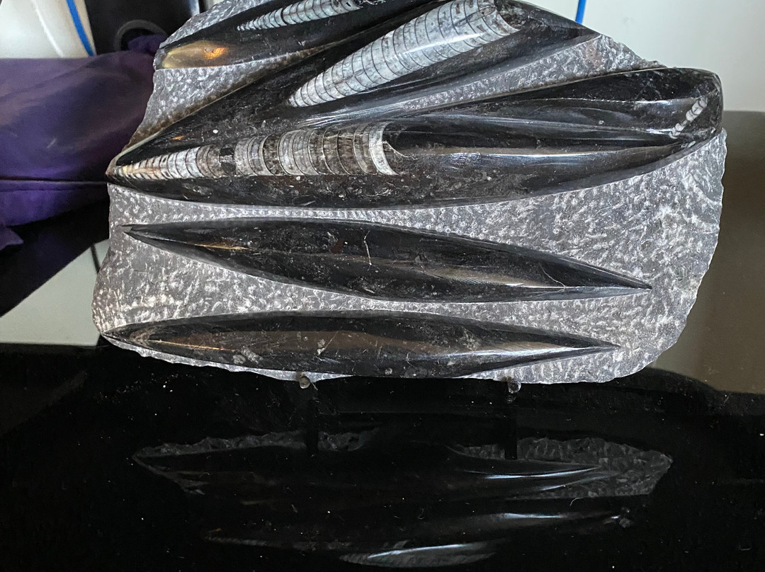 Yvonne Marie's Antique Mall-Decatur必去景点