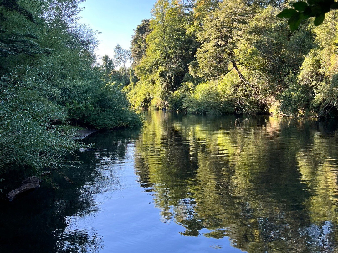 ELEMENTOS Eco Lodge主图