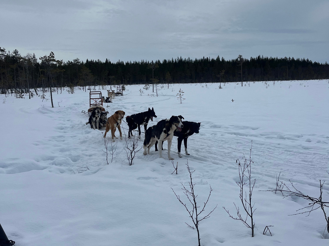 Discover Nordic Adventures-Jamton必去景点