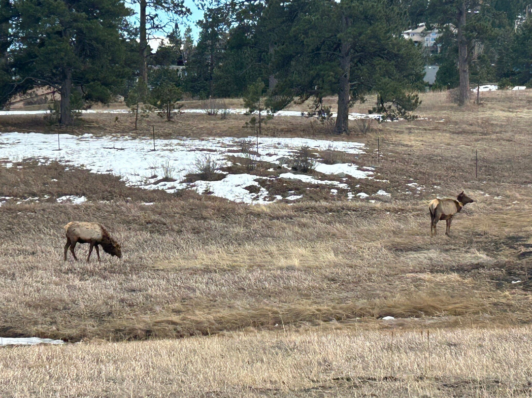 Elk Meadow Park-Evergreen必去景点