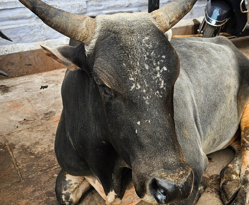Discover Taj-新德里必去景点