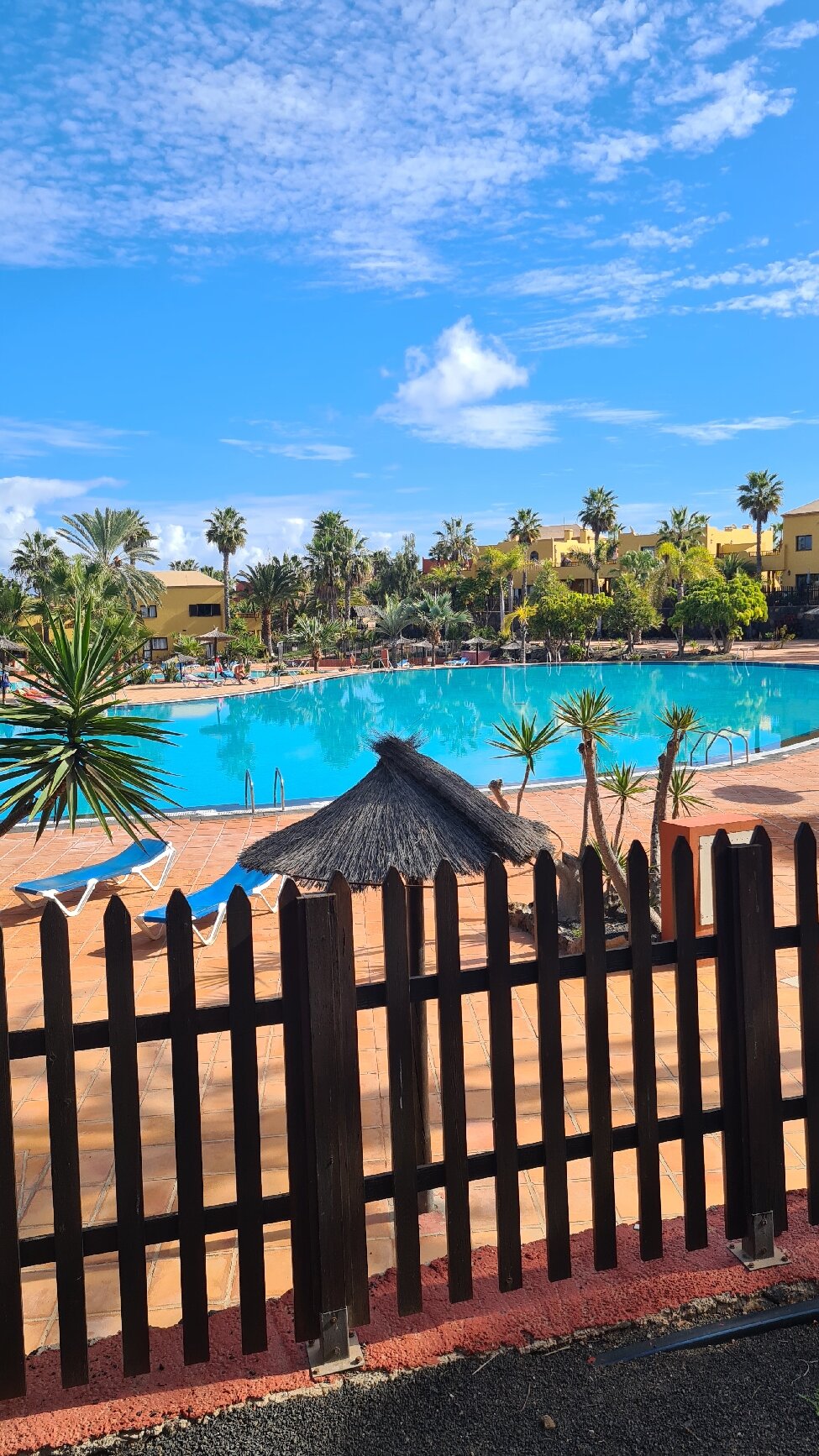 Oasis Tamarindo-官方