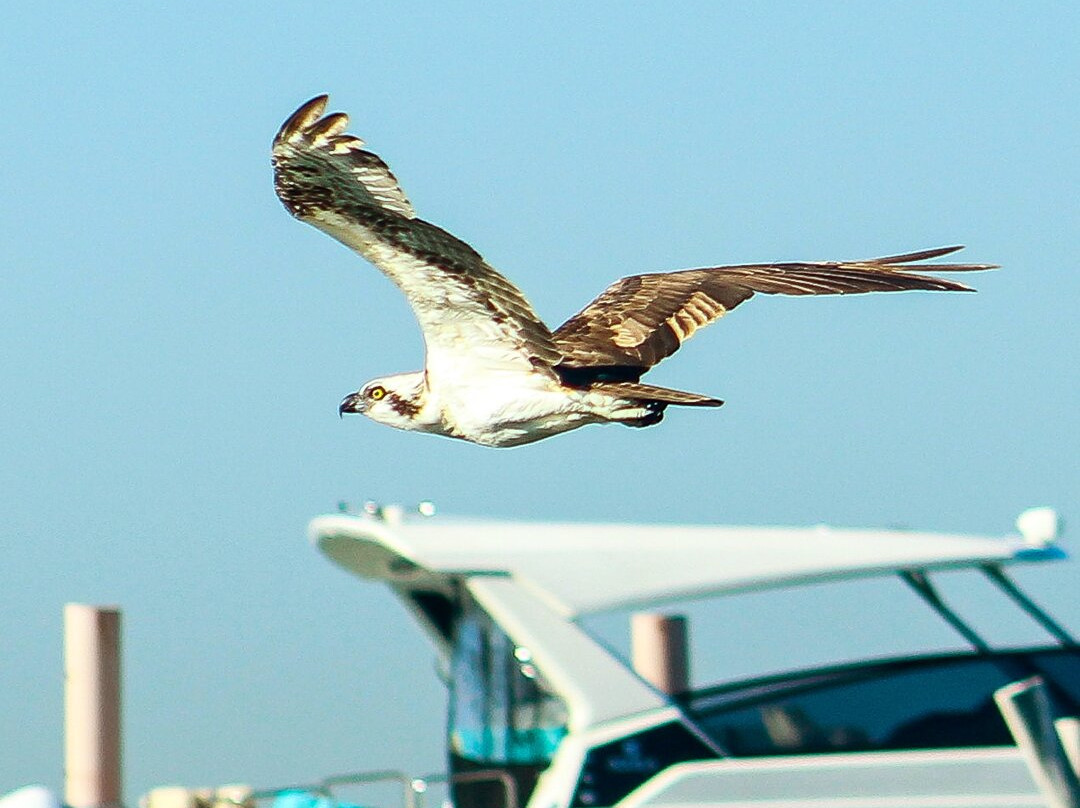 Jungle Tour Adventure-坎昆必去景点