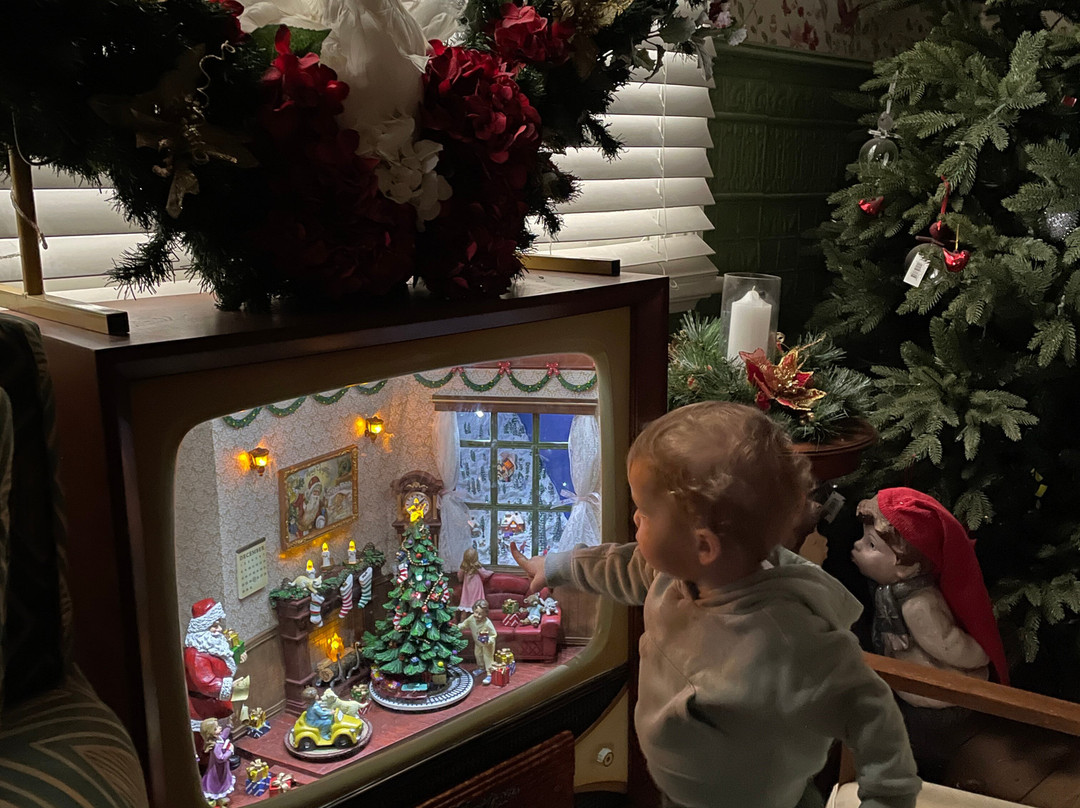 Kaniva Puppet Shop-Kaniva必去景点